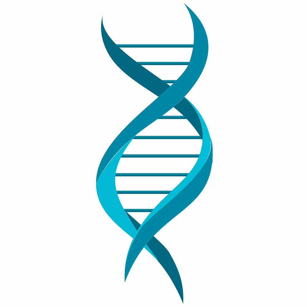 Your risk of hair-loss is written in your genes